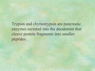 Trypsin and chymotrypsin are pancreatic
enzymes secreted into the duodenum that
cleave protein fragments into smaller
peptides.
 
