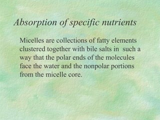 Absorption of specific nutrients
 Micelles are collections of fatty elements
 clustered together with bile salts in such a
 way that the polar ends of the molecules
 face the water and the nonpolar portions
 from the micelle core.
 