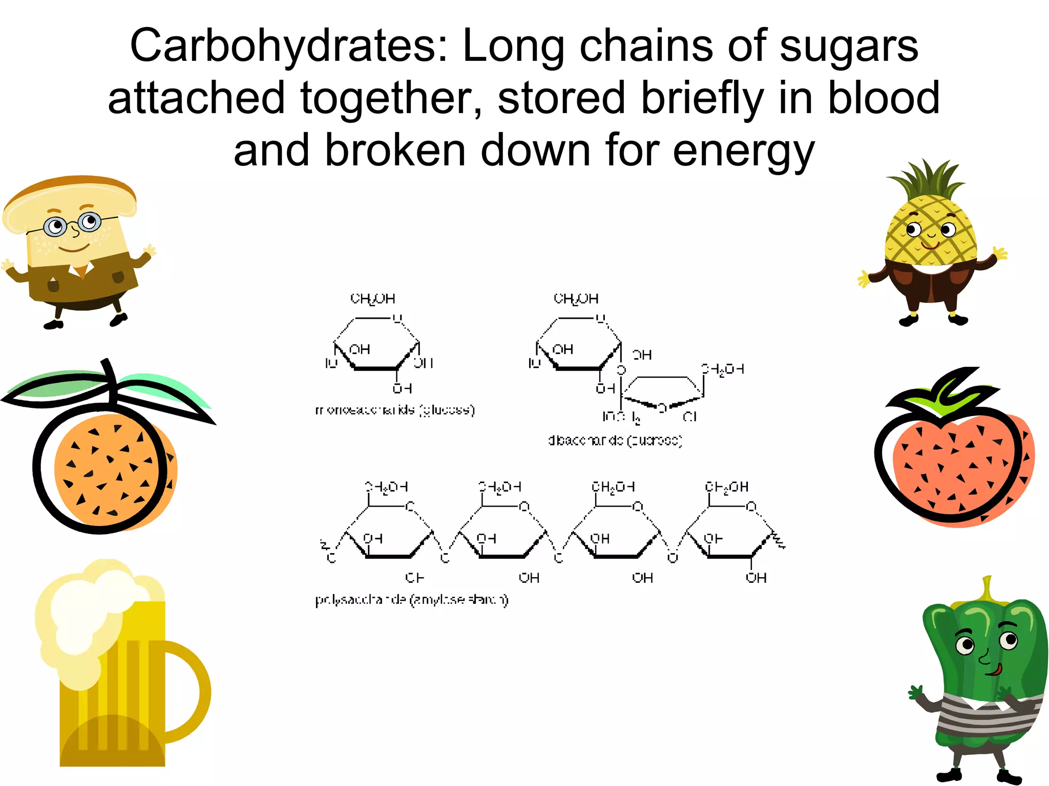 Carbohydrates: Long chains of sugars attached together, stored briefly in blood and broken down for energy