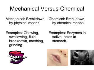 Mechanical Versus Chemical ,[object Object],[object Object],[object Object],[object Object]