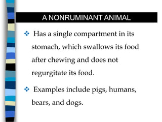 Non Ruminent Animals Digestion | PPTX