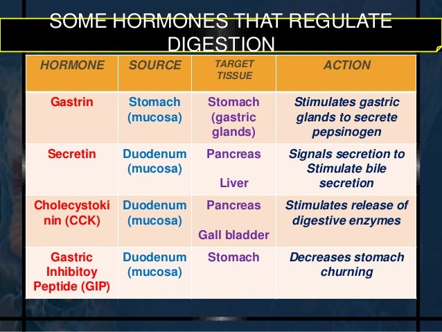 THE HUMAN DIGESTIVE SYSTEM