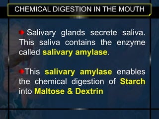 CHEMICAL DIGESTION IN THE MOUTH 
Salivary glands secrete saliva. 
This saliva contains the enzyme 
called salivary amylase. 
This salivary amylase enables 
the chemical digestion of Starch 
into Maltose & Dextrin 
 
