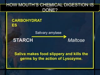 HOW MOUTH’S CHEMICAL DIGESTION IS 
DONE? 
CARBOHYDRAT 
ES 
Salivary amylase 
STARCH Maltose 
Saliva makes food slippery and kills the 
germs by the action of Lysozyme. 
 