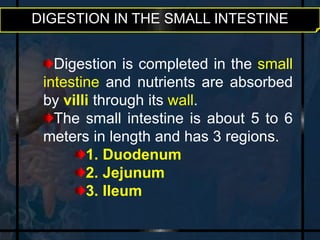 DIGESTION IN THE SMALL INTESTINE 
Digestion is completed in the small 
intestine and nutrients are absorbed 
by villi through its wall. 
The small intestine is about 5 to 6 
meters in length and has 3 regions. 
1. Duodenum 
2. Jejunum 
3. Ileum 
 