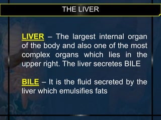 THE LIVER 
LIVER – The largest internal organ 
of the body and also one of the most 
complex organs which lies in the 
upper right. The liver secretes BILE 
BILE – It is the fluid secreted by the 
liver which emulsifies fats 
 