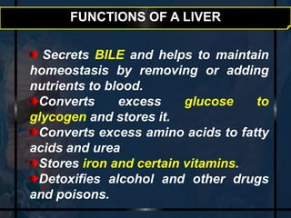 FUNCTIONS OF A LIVER 
Secrets BILE and helps to maintain 
homeostasis by removing or adding 
nutrients to blood. 
Converts excess glucose to 
glycogen and stores it. 
Converts excess amino acids to fatty 
acids and urea 
Stores iron and certain vitamins. 
Detoxifies alcohol and other drugs 
and poisons. 
 