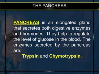 THE PANCREAS 
PANCREAS is an elongated gland 
that secretes both digestive enzymes 
and hormones. They help to regulate 
the level of glucose in the blood. The 
enzymes secreted by the pancreas 
are: 
Trypsin and Chymotrypsin. 
 