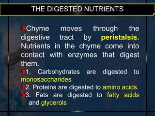 THE DIGESTED NUTRIENTS 
Chyme moves through the 
digestive tract by peristalsis. 
Nutrients in the chyme come into 
contact with enzymes that digest 
them. 
1. Carbohydrates are digested to 
monosaccharides 
2. Proteins are digested to amino acids. 
3. Fats are digested to fatty acids 
and glycerols 
 