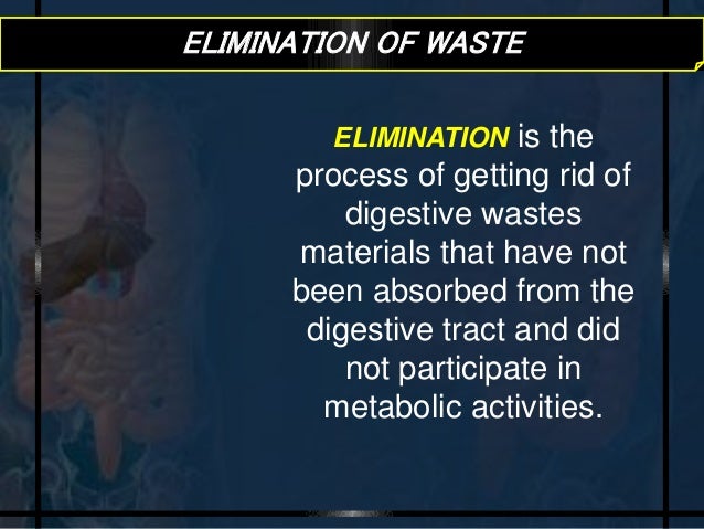 Getting Rid Of Undigested Food Is Called Getting Rid Of Undigested Food Is Called