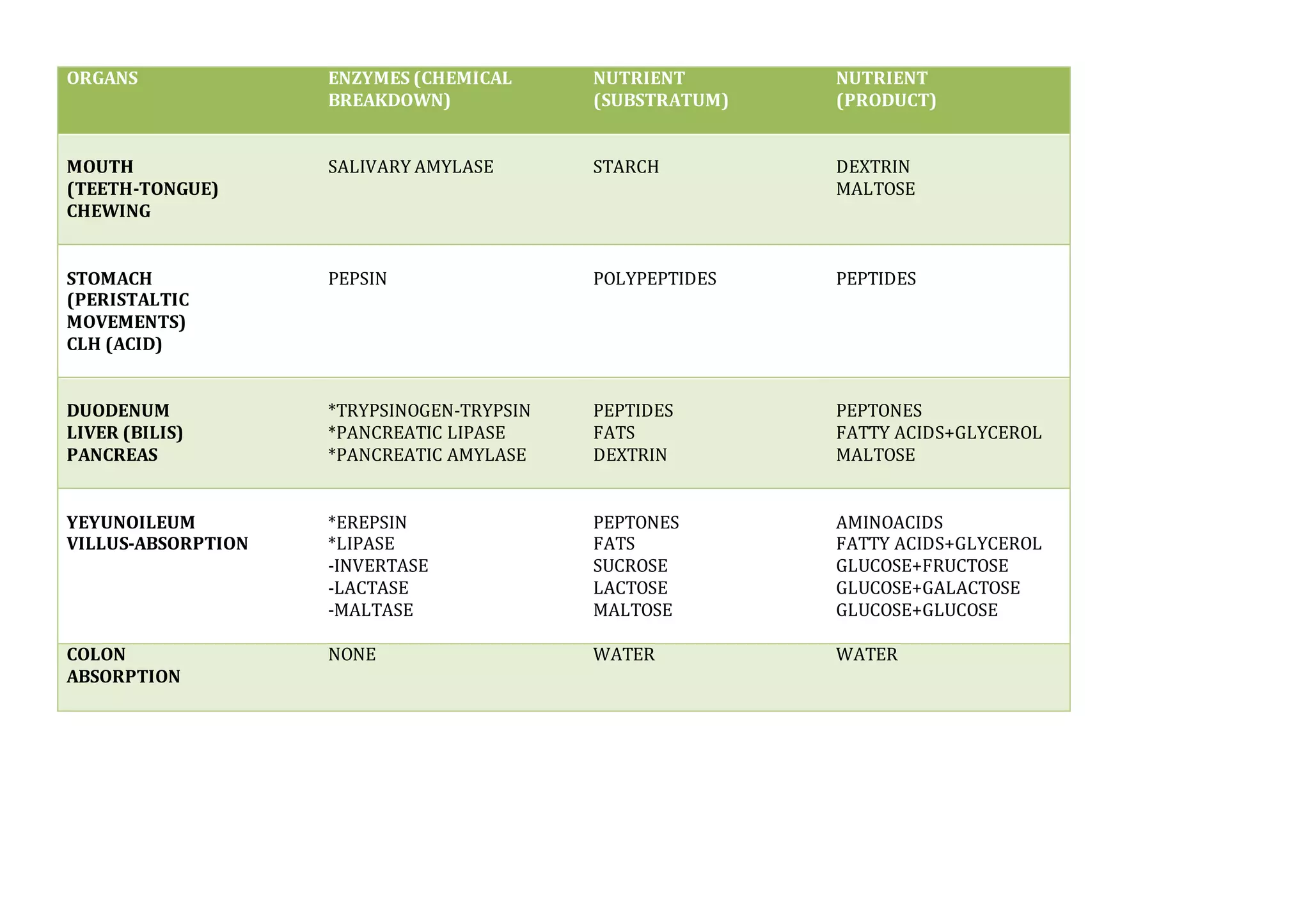 Digestion (CHART) PPT