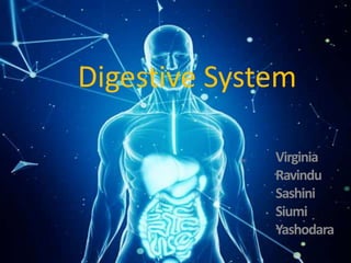 Digestive System
By: Virginia
Ravindu
Sashini
Siumi
Yashodara
 