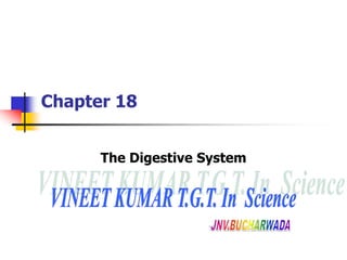 Chapter 18
The Digestive System
 