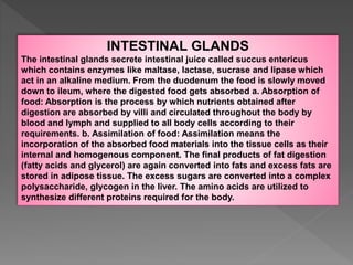 INTESTINAL GLANDS
The intestinal glands secrete intestinal juice called succus entericus
which contains enzymes like maltase, lactase, sucrase and lipase which
act in an alkaline medium. From the duodenum the food is slowly moved
down to ileum, where the digested food gets absorbed a. Absorption of
food: Absorption is the process by which nutrients obtained after
digestion are absorbed by villi and circulated throughout the body by
blood and lymph and supplied to all body cells according to their
requirements. b. Assimilation of food: Assimilation means the
incorporation of the absorbed food materials into the tissue cells as their
internal and homogenous component. The final products of fat digestion
(fatty acids and glycerol) are again converted into fats and excess fats are
stored in adipose tissue. The excess sugars are converted into a complex
polysaccharide, glycogen in the liver. The amino acids are utilized to
synthesize different proteins required for the body.
 