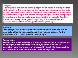 Tongue:
The tongue is a muscular, sensory organ which helps in mixing the food
with the saliva. The taste buds on the tongue help to recognize the taste
of food. The masticated food in the buccal cavity becomes a bolus which
is rolled by the tongue and passed through pharynx into the oesophagus
by swallowing. During swallowing, the epiglottis (a muscular flap-like
structure at the tip of the glottis, beginning of trachea) closes and
prevents the food from entering into trachea (wind pipe).
Pharynx:
The pharynx is a membrane lined cavity behind the nose and mouth,
connecting them to the oesophagus. It serves as a pathway for the
movement of food from mouth to oesophagus.
Oesophagus:
Oesophagus or the food pipe is a muscular-membranous canal about 22
cm in length. It conducts food from pharynx to the stomach by
peristalsis (wave-like movement) produced by the rhythmic contraction
and relaxation of the muscular walls of alimentary canal.
 