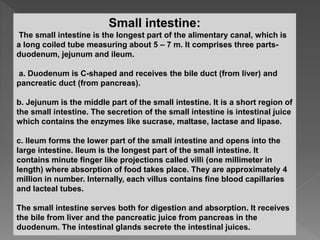 Small intestine:
The small intestine is the longest part of the alimentary canal, which is
a long coiled tube measuring about 5 – 7 m. It comprises three parts-
duodenum, jejunum and ileum.
a. Duodenum is C-shaped and receives the bile duct (from liver) and
pancreatic duct (from pancreas).
b. Jejunum is the middle part of the small intestine. It is a short region of
the small intestine. The secretion of the small intestine is intestinal juice
which contains the enzymes like sucrase, maltase, lactase and lipase.
c. Ileum forms the lower part of the small intestine and opens into the
large intestine. Ileum is the longest part of the small intestine. It
contains minute finger like projections called villi (one millimeter in
length) where absorption of food takes place. They are approximately 4
million in number. Internally, each villus contains fine blood capillaries
and lacteal tubes.
The small intestine serves both for digestion and absorption. It receives
the bile from liver and the pancreatic juice from pancreas in the
duodenum. The intestinal glands secrete the intestinal juices.
 