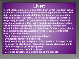 Liver:
It is the largest digestive gland of the body which is reddish brown
in colour. It is divided into two main lobes, right and left lobes. The
right lobe is larger than the left lobe. On the under surface of the
liver, gall bladder is present. The liver cells secrete bile which is
temporarily stored in the gall bladder. Bile is released into small
intestine when food enters in it. It has bile salts (sodium glycolate
and sodium tauraglycolate) and bile pigments (bilirubin and
biliviridin). Bile salts help in the digestion of fats by bringing about
their emulsification (conversion of large fat droplets into small
ones). Functions of Liver
• Controls blood sugar and amino acid levels.
• Synthesizes foetal red blood cells.
• Produces fibrinogen and prothrombin, used for clotting of blood.
• Destroys red blood cells. • Stores iron, copper, vitamins A and D.
• Produces heparin (an anticoagulant).
• Excretes toxic and metallic poisons.
• Detoxifies substances including drugs and alcohol
 