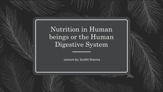 Nutrition in Human
beings or the Human
Digestive System
Lecture by: Surbhi Sharma
 