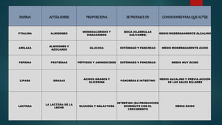 ENZIMA ACTÚASOBRE PROPORCIONA SE PRODUCEEN CONDICIONES PARAQUEACTÚE
PTIALINA ALMIDONES
MONOSACÁRIDOS Y
DISACÁRIDOS
BOCA (GLÁNDULAS
SALIVARES)
MEDIO MODERADAMENTE ALCALINO
AMILASA
ALMIDONES Y
AZÚCARES
GLUCOSA ESTÓMAGO Y PÁNCREAS MEDIO MODERADAMENTE ÁCIDO
PEPSINA PROTEÍNAS PÉPTIDOS Y AMINOÁCIDOS ESTÓMAGO Y PÁNCREAS MEDIO MUY ÁCIDO
LIPASA GRASAS
ÁCIDOS GRASOS Y
GLICERINA
PÁNCREAS E INTESTINO
MEDIO ALCALINO Y PREVIA ACCIÓN
DE LAS SALES BILIARES
LACTASA
LA LACTOSA DE LA
LECHE
GLUCOSA Y GALACTOSA
INTESTINO (SU PRODUCCIÓN
DISMINUYE CON EL
CRECIMIENTO
MEDIO ÁCIDO
 