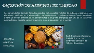 DIGESTIÓN DE HIDRATOS DE CARBONO
-SACAROSA
-MALTOSA
ALMIDONES
Los carbohidratos, también llamados glúcidos, carbohidratos, hidratos de carbono o sacáridos, son
elementos principales en la alimentación, que se encuentran principalmente en azúcares, almidones
y fibra. La función principal de los carbohidratos es el aporte energético. Son una de las sustancias
principales que necesita nuestro organismo, junto a las grasas y las proteínas.
CARNE: celulosa, glucógeno,
ácido láctico, pectina,
dextrinas y derivados de
hidratos de carbono.
 