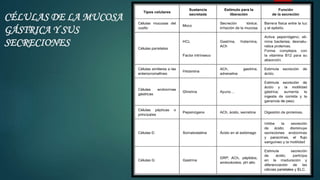 CÉLULAS DE LA MUCOSA
GÁSTRICA Y SUS
SECRECIONES
 