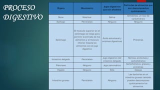 Órgano Movimiento
Jugos digestivos
que son añadidos
Partículas de alimentos que
son descompuestos
químicamente
Boca Masticar Saliva
Almidones, un tipo de
carbohidrato
Esófago Peristalsis Ninguno Ninguno
Estómago
El músculo superior en el
estómago se relaja para
permitir la entrada de los
alimentos y el músculo
inferior mezcla los
alimentos con el jugo
digestivo
Ácido estomacal y
enzimas digestivas
Proteínas
Intestino delgado Peristalsis
Jugo digestivo del
intestino delgado
Harinas, proteínas y
carbohidratos
Páncreas Ninguno Jugo pancreático
Carbohidratos, grasas y
proteínas
Hígado Ninguno Bilis Grasas
Intestino grueso Peristalsis Ninguno
Las bacterias en el
intestino grueso también
pueden descomponer
químicamente los
alimentos.
PROCESO
DIGESTIVO
 