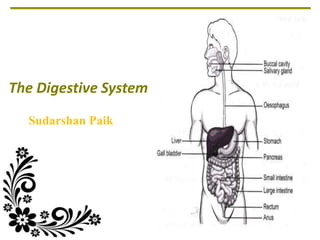 The Digestive System
Sudarshan Paik
 