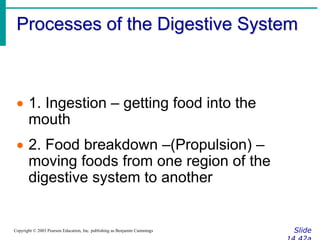 Food Breakdown Process Digestion.ppt
