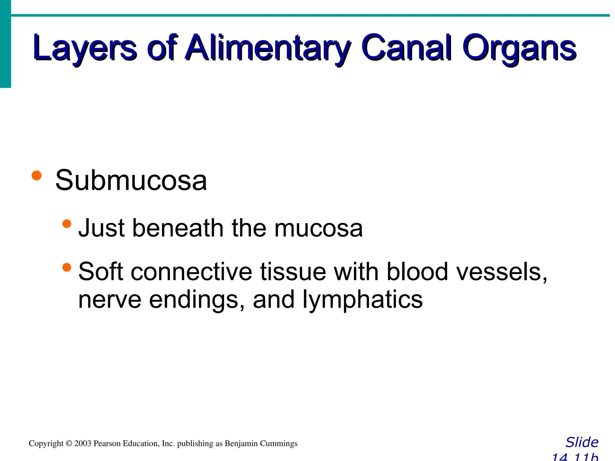 Layers of Alimentary Canal Organs
Layers of Alimentary Canal Organs
Slide
Copyright © 2003 Pearson Education, Inc. publishing as Benjamin Cummings
 Submucosa
 Just beneath the mucosa
 Soft connective tissue with blood vessels,
nerve endings, and lymphatics
 