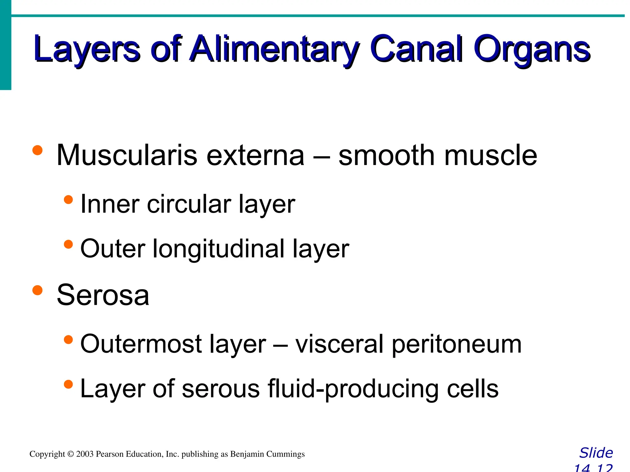 Layers of Alimentary Canal Organs
Layers of Alimentary Canal Organs
Slide
Copyright © 2003 Pearson Education, Inc. publishing as Benjamin Cummings
 Muscularis externa – smooth muscle
 Inner circular layer
 Outer longitudinal layer
 Serosa
 Outermost layer – visceral peritoneum
 Layer of serous fluid-producing cells
 