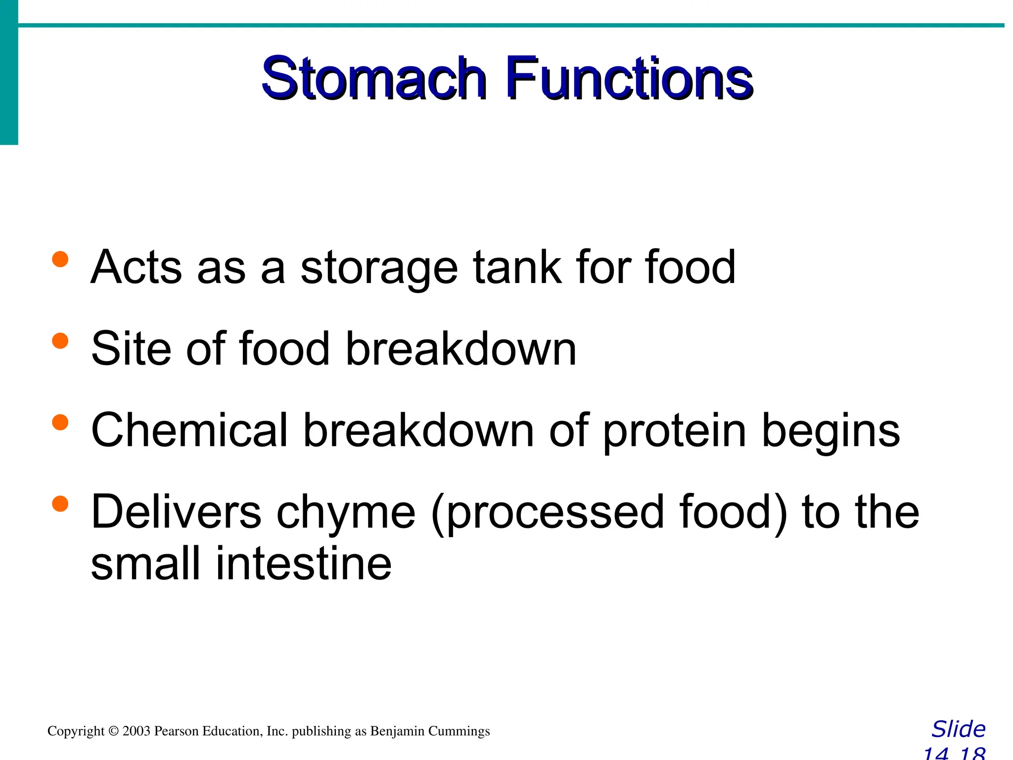 Stomach Functions
Stomach Functions
Slide
Copyright © 2003 Pearson Education, Inc. publishing as Benjamin Cummings
 Acts as a storage tank for food
 Site of food breakdown
 Chemical breakdown of protein begins
 Delivers chyme (processed food) to the
small intestine
 