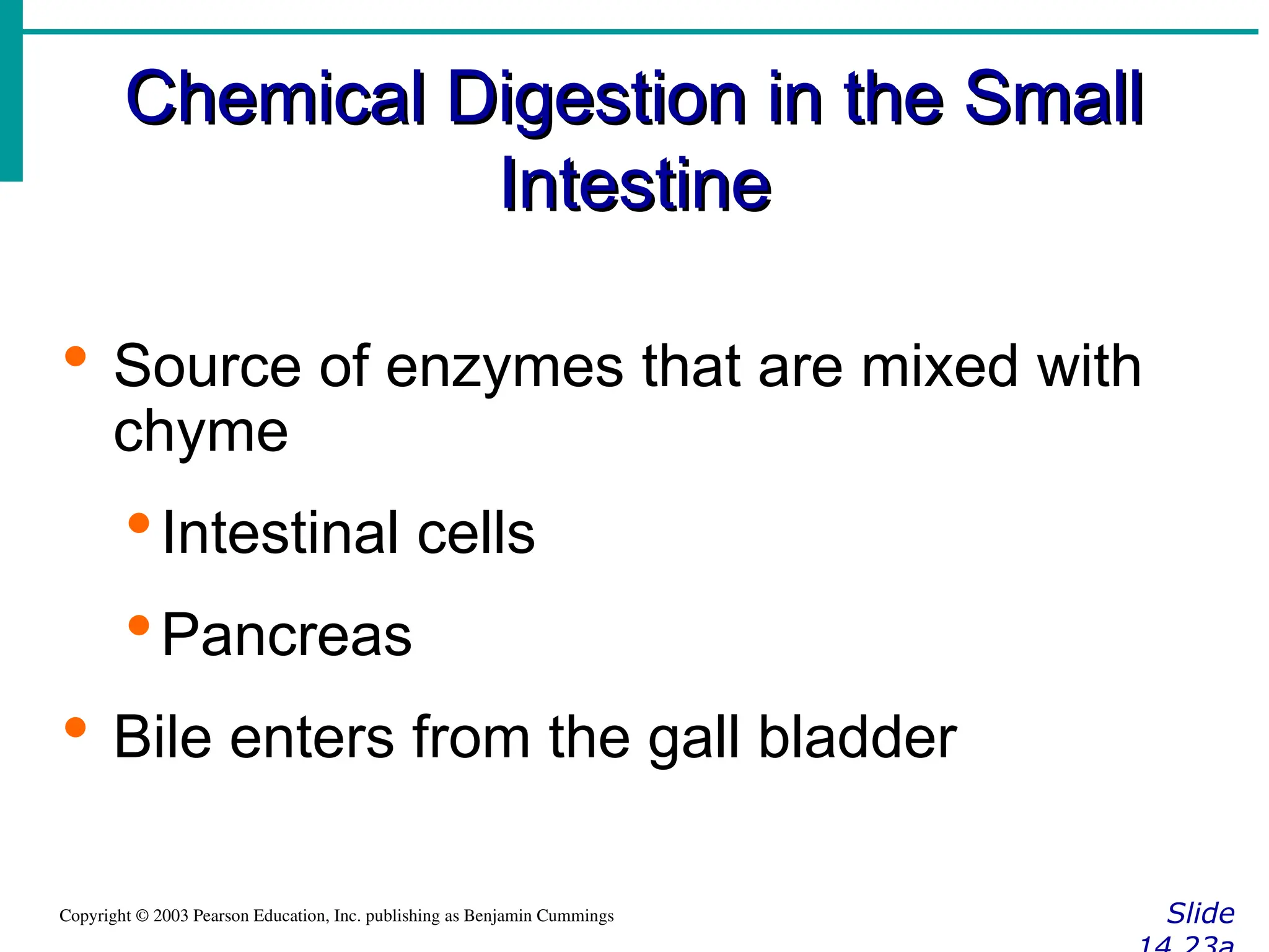Chemical Digestion in the Small
Chemical Digestion in the Small
Intestine
Intestine
Slide
Copyright © 2003 Pearson Education, Inc. publishing as Benjamin Cummings
 Source of enzymes that are mixed with
chyme
Intestinal cells
Pancreas
 Bile enters from the gall bladder
 