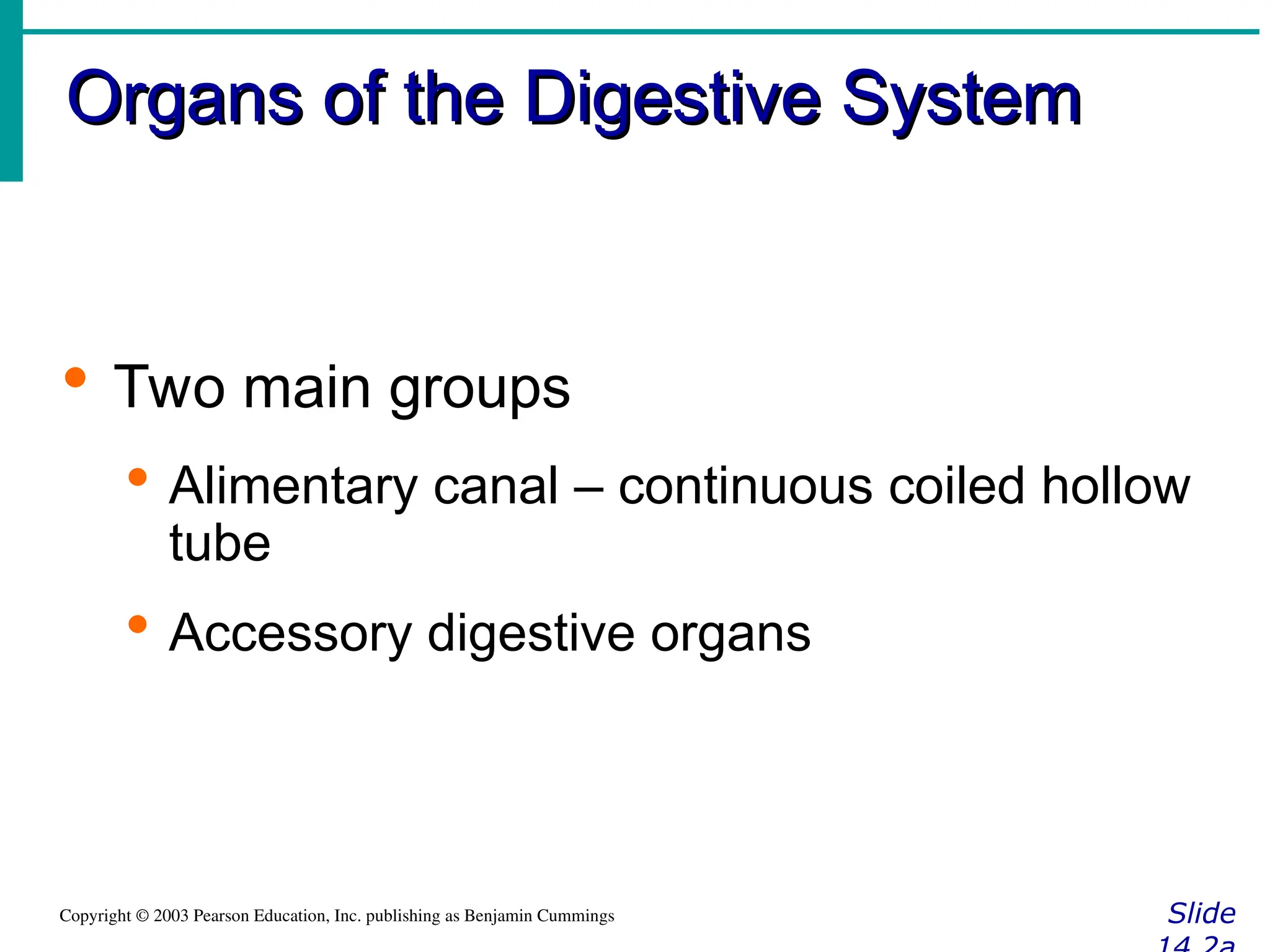 Organs of the Digestive System
Organs of the Digestive System
Slide
Copyright © 2003 Pearson Education, Inc. publishing as Benjamin Cummings
 Two main groups
 Alimentary canal – continuous coiled hollow
tube
 Accessory digestive organs
 
