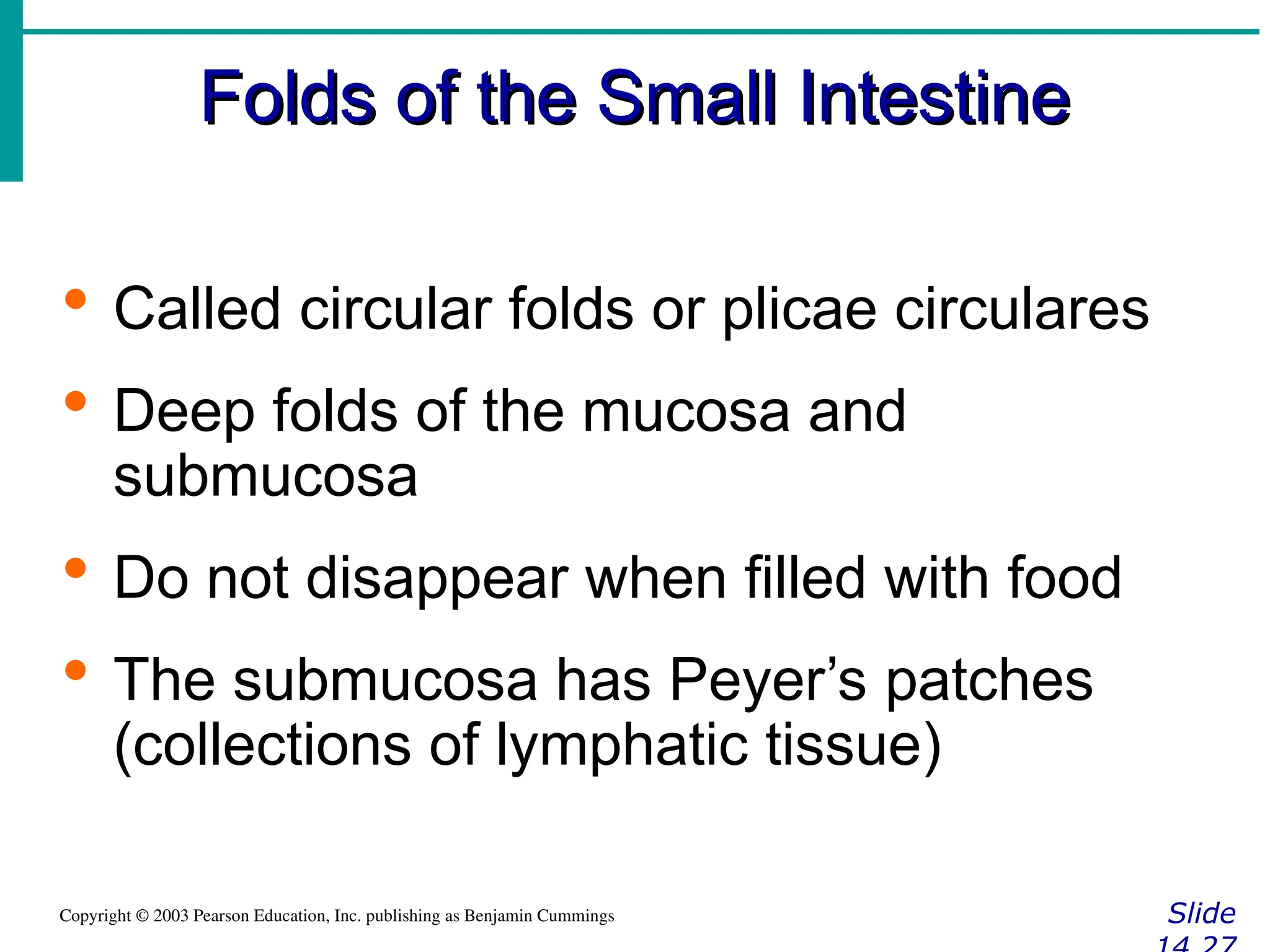 Folds of the Small Intestine
Folds of the Small Intestine
Slide
Copyright © 2003 Pearson Education, Inc. publishing as Benjamin Cummings
 Called circular folds or plicae circulares
 Deep folds of the mucosa and
submucosa
 Do not disappear when filled with food
 The submucosa has Peyer’s patches
(collections of lymphatic tissue)
 