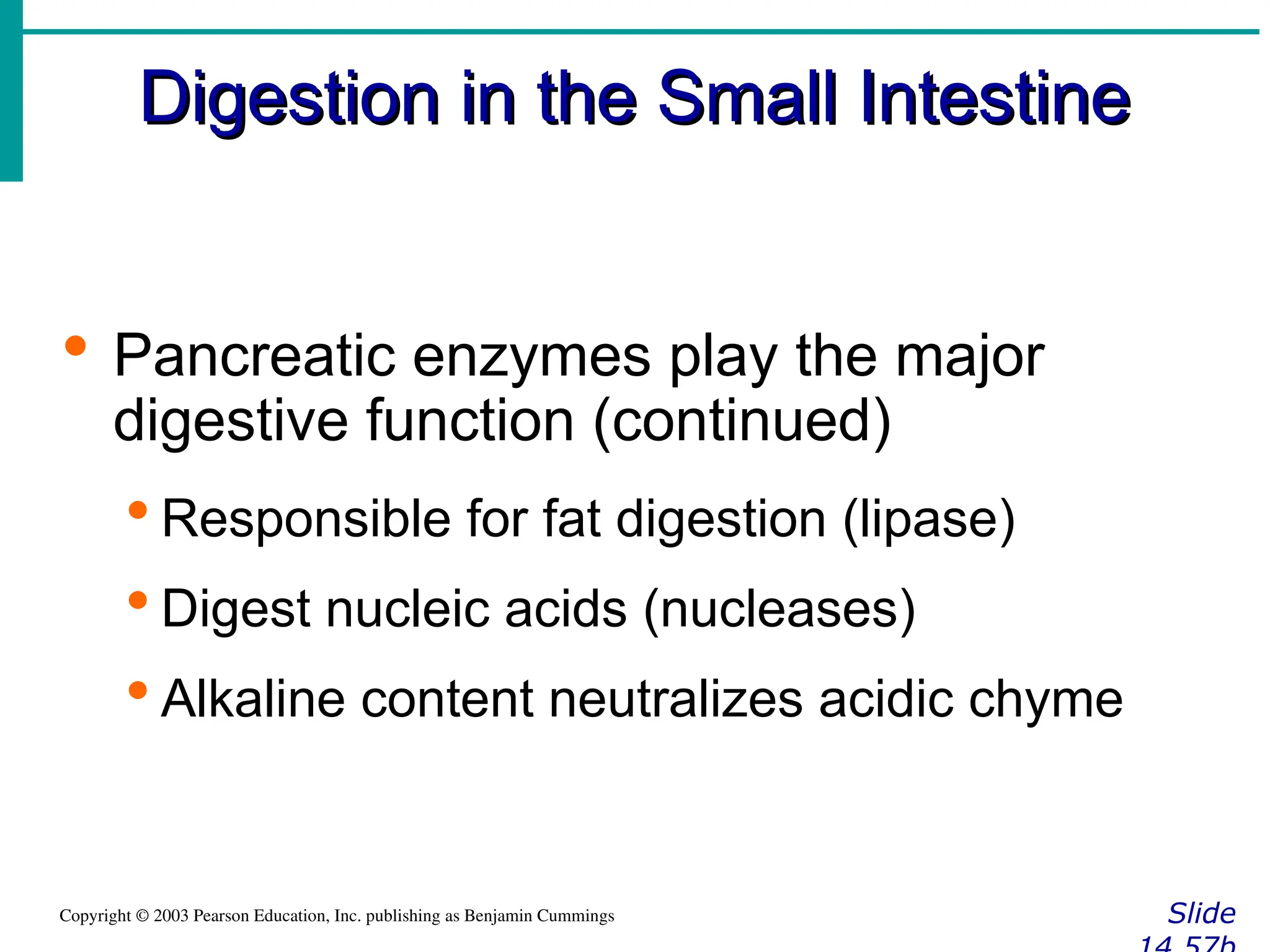 Digestion in the Small Intestine
Digestion in the Small Intestine
Slide
Copyright © 2003 Pearson Education, Inc. publishing as Benjamin Cummings
 Pancreatic enzymes play the major
digestive function (continued)
 Responsible for fat digestion (lipase)
 Digest nucleic acids (nucleases)
 Alkaline content neutralizes acidic chyme
 