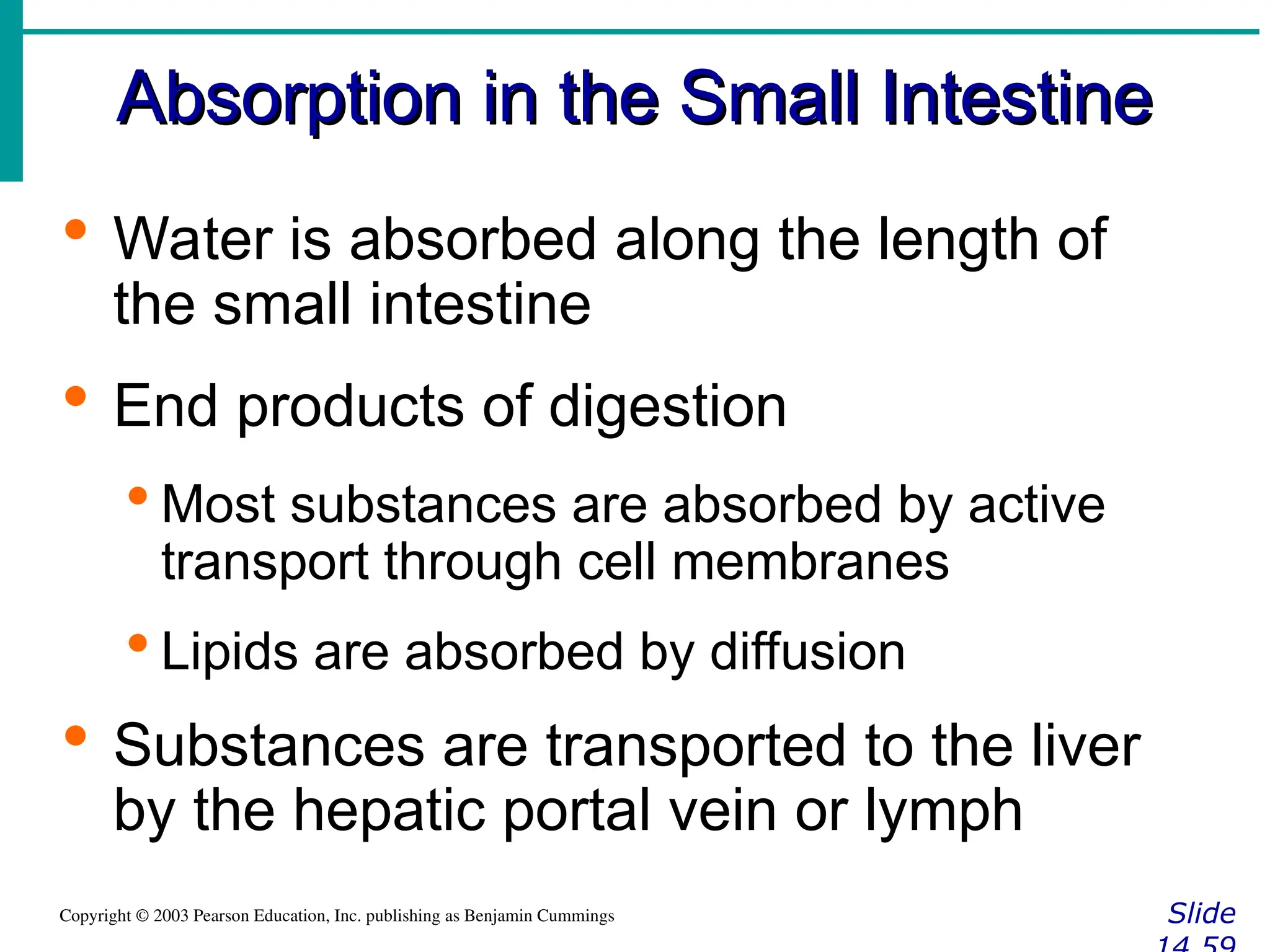 Absorption in the Small Intestine
Absorption in the Small Intestine
Slide
Copyright © 2003 Pearson Education, Inc. publishing as Benjamin Cummings
 Water is absorbed along the length of
the small intestine
 End products of digestion
 Most substances are absorbed by active
transport through cell membranes
 Lipids are absorbed by diffusion
 Substances are transported to the liver
by the hepatic portal vein or lymph
 