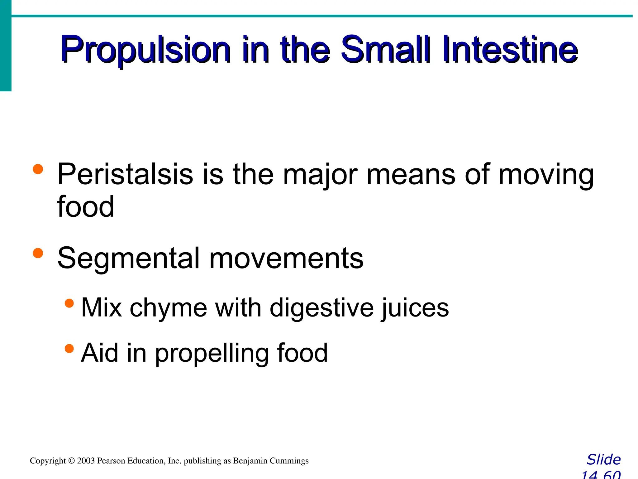 Propulsion in the Small Intestine
Propulsion in the Small Intestine
Slide
Copyright © 2003 Pearson Education, Inc. publishing as Benjamin Cummings
 Peristalsis is the major means of moving
food
 Segmental movements
 Mix chyme with digestive juices
 Aid in propelling food
 