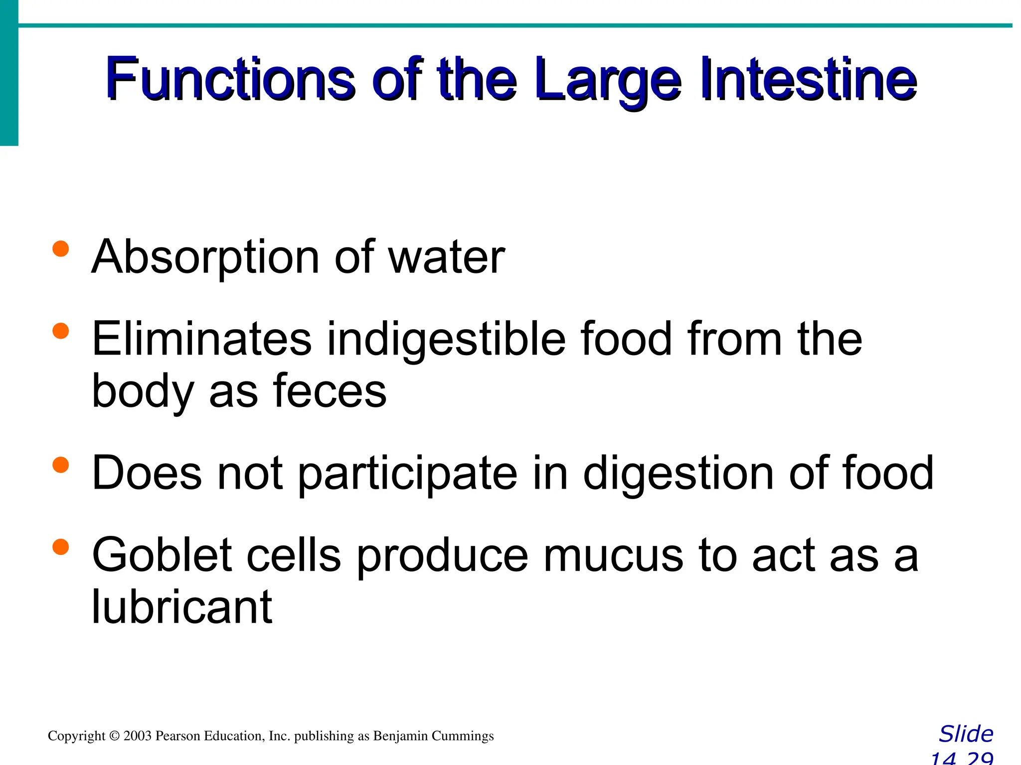 Functions of the Large Intestine
Functions of the Large Intestine
Slide
Copyright © 2003 Pearson Education, Inc. publishing as Benjamin Cummings
 Absorption of water
 Eliminates indigestible food from the
body as feces
 Does not participate in digestion of food
 Goblet cells produce mucus to act as a
lubricant
 
