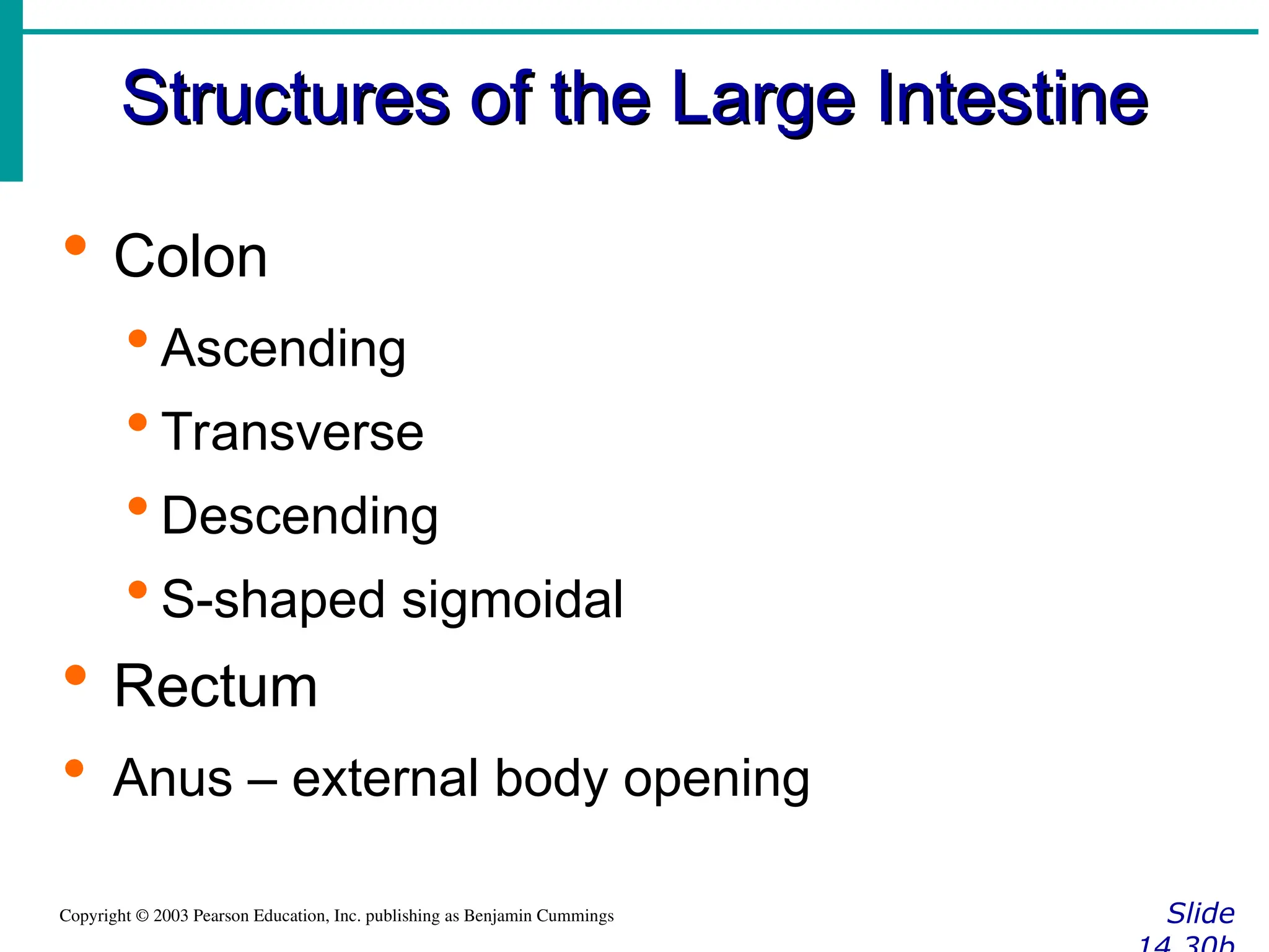 Structures of the Large Intestine
Structures of the Large Intestine
Slide
Copyright © 2003 Pearson Education, Inc. publishing as Benjamin Cummings
 Colon
 Ascending
 Transverse
 Descending
 S-shaped sigmoidal
 Rectum
 Anus – external body opening
 
