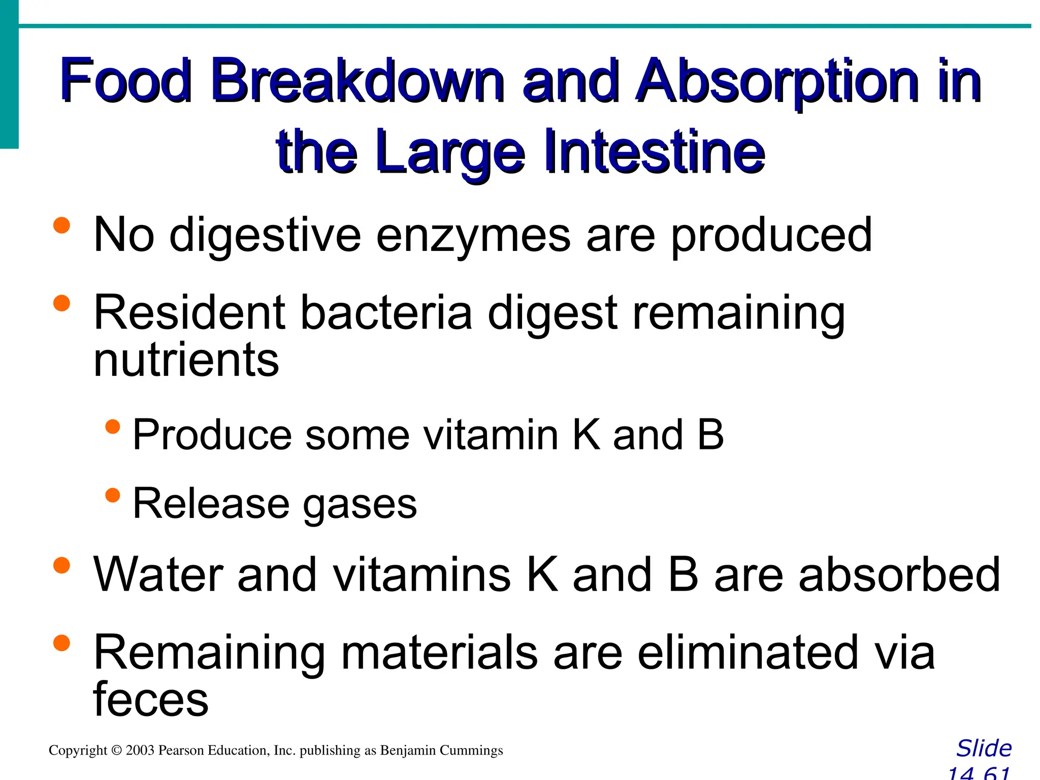Food Breakdown and Absorption in
Food Breakdown and Absorption in
the Large Intestine
the Large Intestine
Slide
Copyright © 2003 Pearson Education, Inc. publishing as Benjamin Cummings
 No digestive enzymes are produced
 Resident bacteria digest remaining
nutrients
 Produce some vitamin K and B
 Release gases
 Water and vitamins K and B are absorbed
 Remaining materials are eliminated via
feces
 