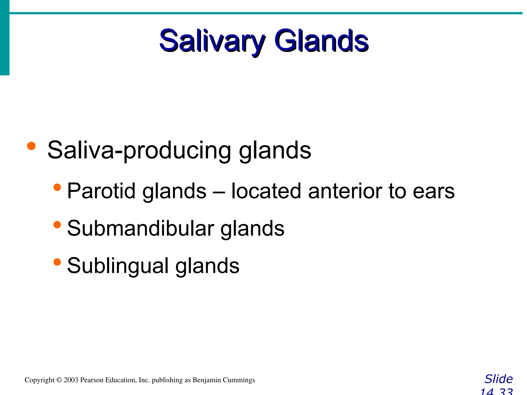 Salivary Glands
Salivary Glands
Slide
Copyright © 2003 Pearson Education, Inc. publishing as Benjamin Cummings
 Saliva-producing glands
 Parotid glands – located anterior to ears
 Submandibular glands
 Sublingual glands
 
