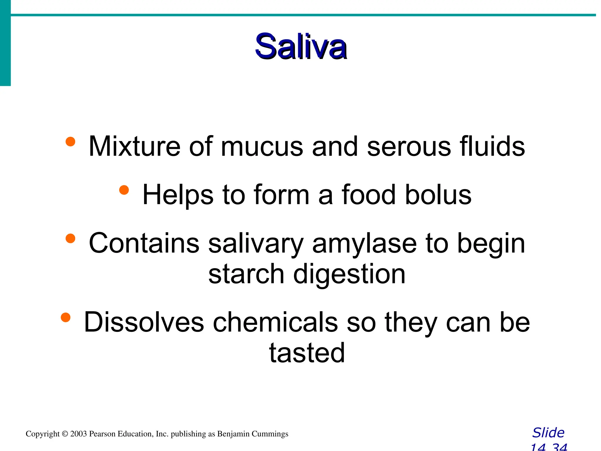Saliva
Saliva
Slide
Copyright © 2003 Pearson Education, Inc. publishing as Benjamin Cummings
 Mixture of mucus and serous fluids
 Helps to form a food bolus
 Contains salivary amylase to begin
starch digestion
 Dissolves chemicals so they can be
tasted
 