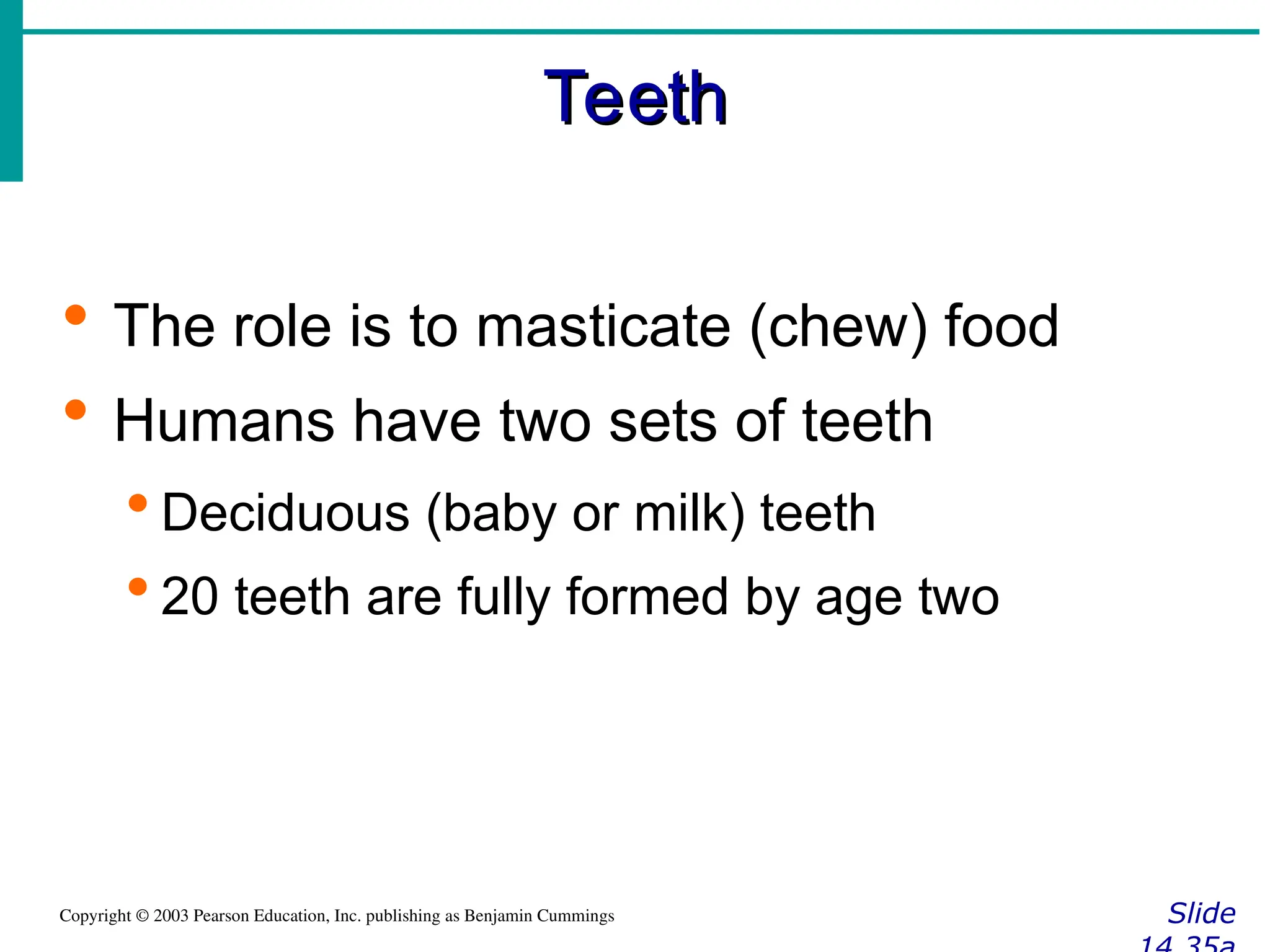 Teeth
Teeth
Slide
Copyright © 2003 Pearson Education, Inc. publishing as Benjamin Cummings
 The role is to masticate (chew) food
 Humans have two sets of teeth
 Deciduous (baby or milk) teeth
 20 teeth are fully formed by age two
 