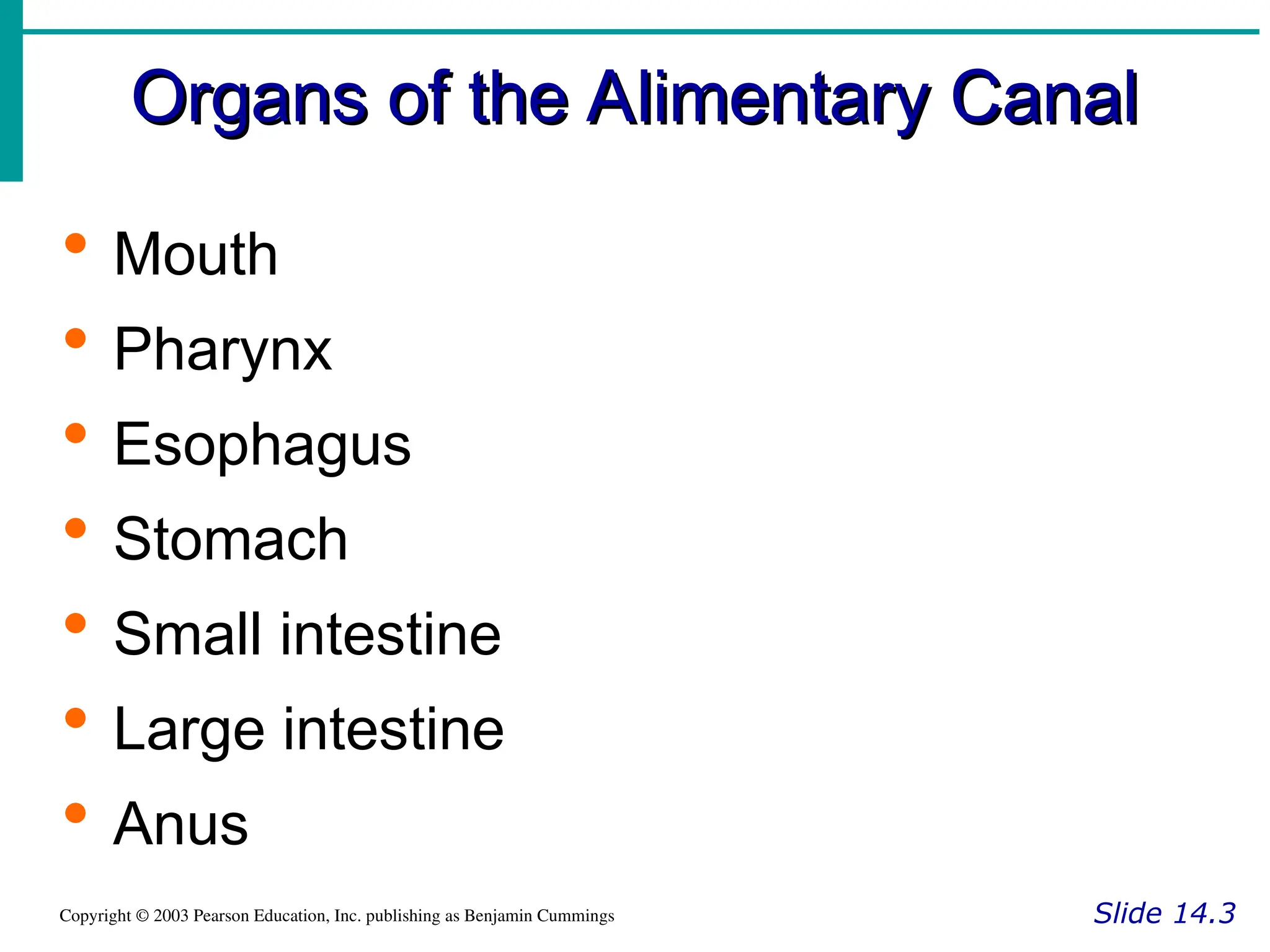 Organs of the Alimentary Canal
Organs of the Alimentary Canal
Slide 14.3
Copyright © 2003 Pearson Education, Inc. publishing as Benjamin Cummings
 Mouth
 Pharynx
 Esophagus
 Stomach
 Small intestine
 Large intestine
 Anus
 