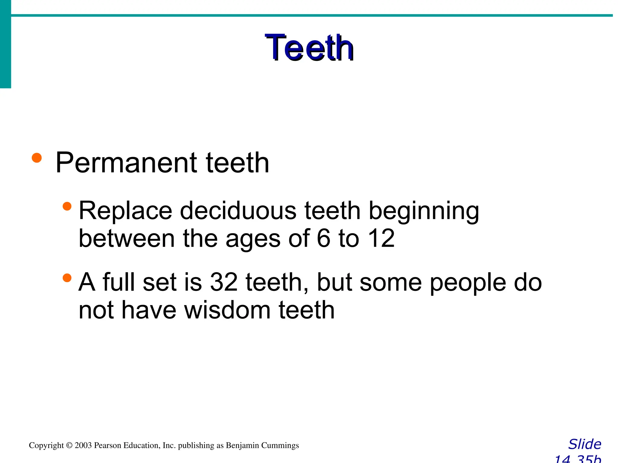 Teeth
Teeth
Slide
Copyright © 2003 Pearson Education, Inc. publishing as Benjamin Cummings
 Permanent teeth
 Replace deciduous teeth beginning
between the ages of 6 to 12
 A full set is 32 teeth, but some people do
not have wisdom teeth
 