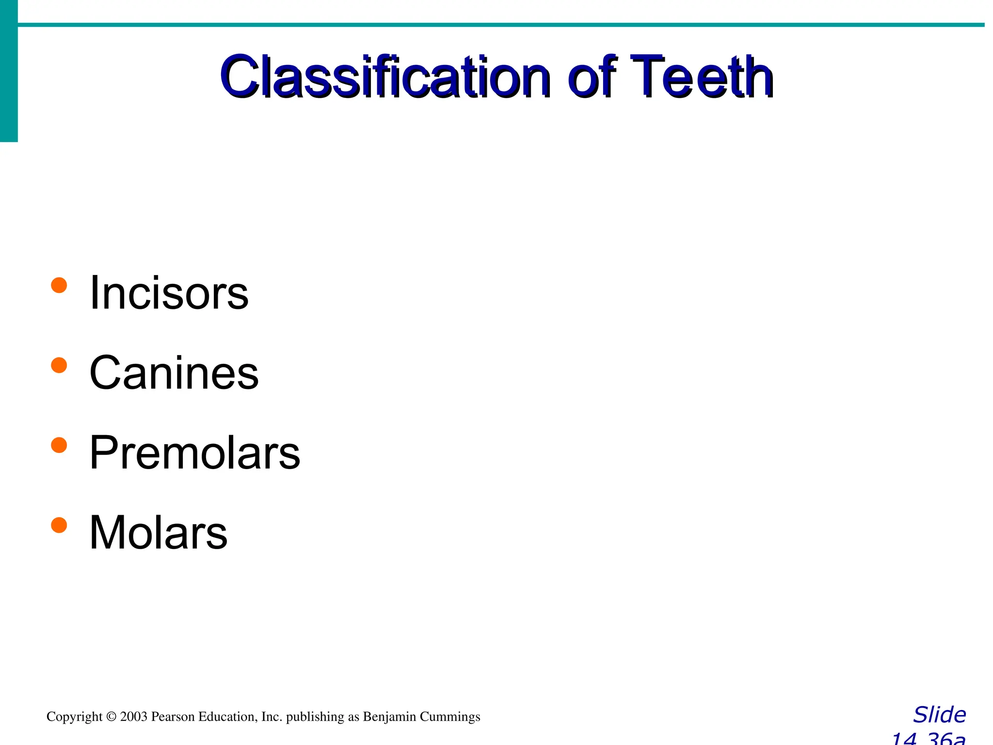 Classification of Teeth
Classification of Teeth
Slide
Copyright © 2003 Pearson Education, Inc. publishing as Benjamin Cummings
 Incisors
 Canines
 Premolars
 Molars
 