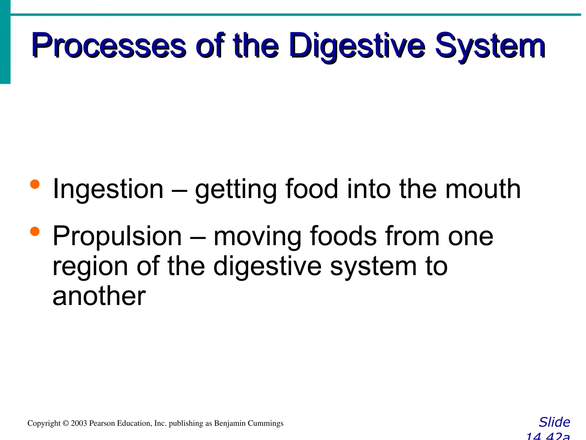 Processes of the Digestive System
Processes of the Digestive System
Slide
Copyright © 2003 Pearson Education, Inc. publishing as Benjamin Cummings
 Ingestion – getting food into the mouth
 Propulsion – moving foods from one
region of the digestive system to
another
 