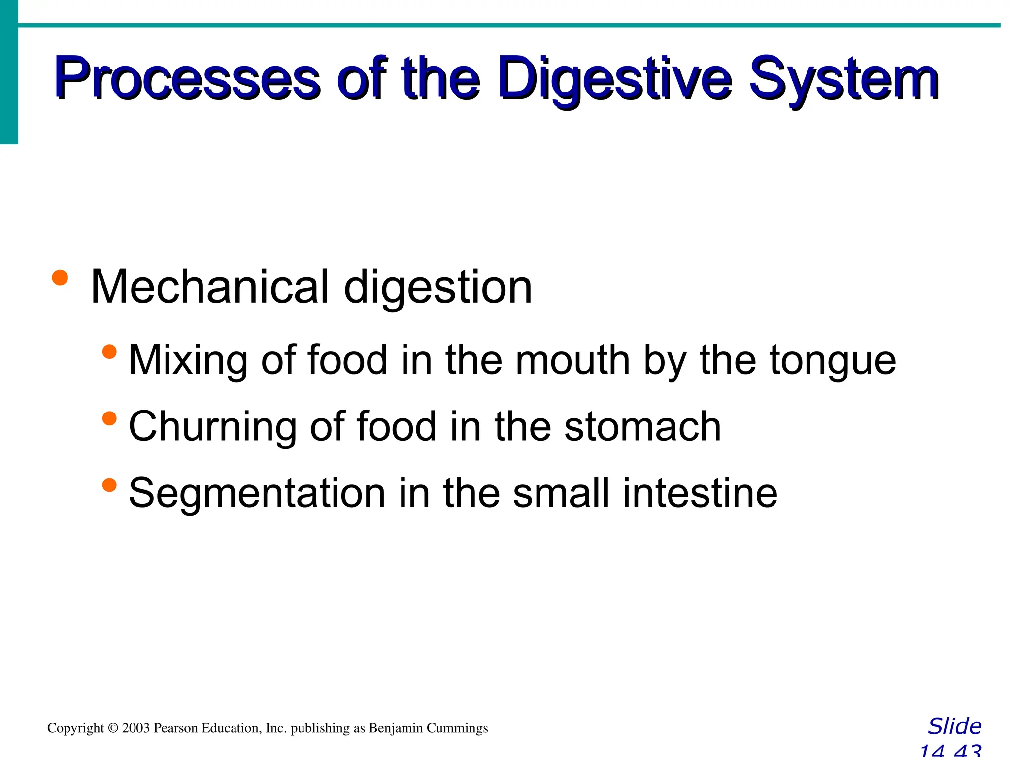 Processes of the Digestive System
Processes of the Digestive System
Slide
Copyright © 2003 Pearson Education, Inc. publishing as Benjamin Cummings
 Mechanical digestion
 Mixing of food in the mouth by the tongue
 Churning of food in the stomach
 Segmentation in the small intestine
 