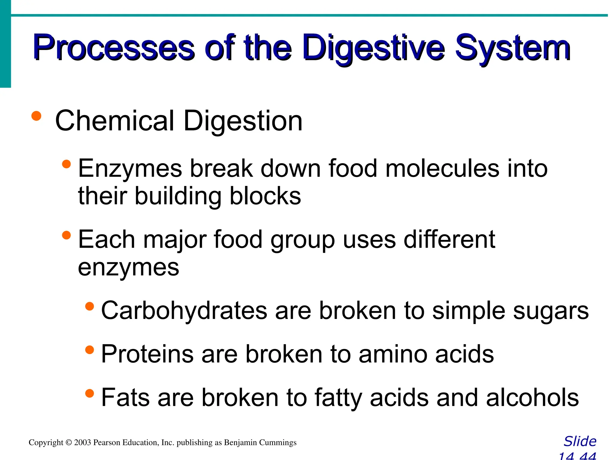 Processes of the Digestive System
Processes of the Digestive System
Slide
Copyright © 2003 Pearson Education, Inc. publishing as Benjamin Cummings
 Chemical Digestion
 Enzymes break down food molecules into
their building blocks
 Each major food group uses different
enzymes
 Carbohydrates are broken to simple sugars
 Proteins are broken to amino acids
 Fats are broken to fatty acids and alcohols
 