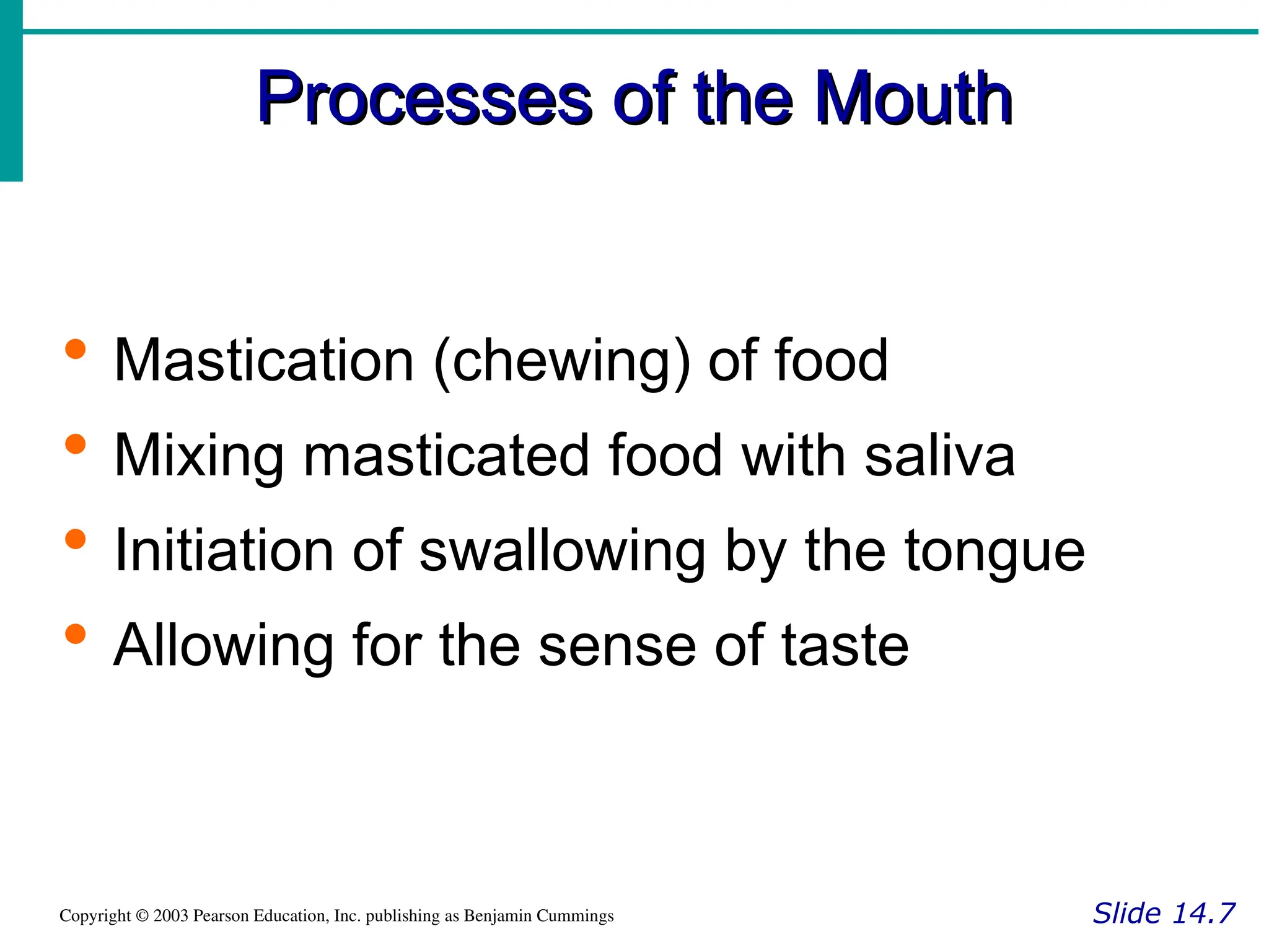 Processes of the Mouth
Processes of the Mouth
Slide 14.7
Copyright © 2003 Pearson Education, Inc. publishing as Benjamin Cummings
 Mastication (chewing) of food
 Mixing masticated food with saliva
 Initiation of swallowing by the tongue
 Allowing for the sense of taste
 